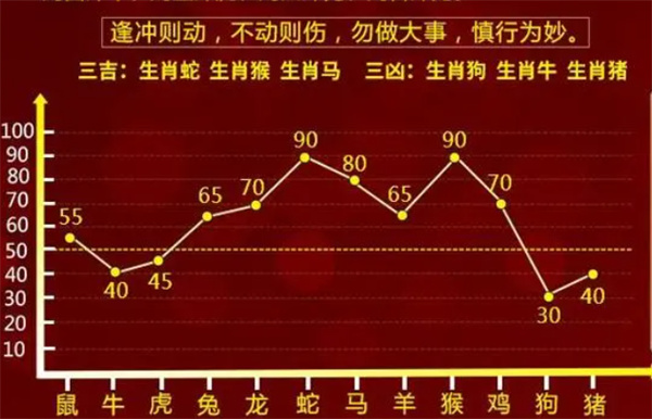 一肖一码一一子中特,实证分析解释落实