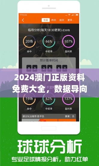 2024澳门今晚开特马开什么,实证分析解释落实